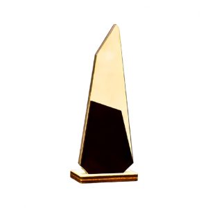 Troféu 20-2244 20 cm madeira 100 g